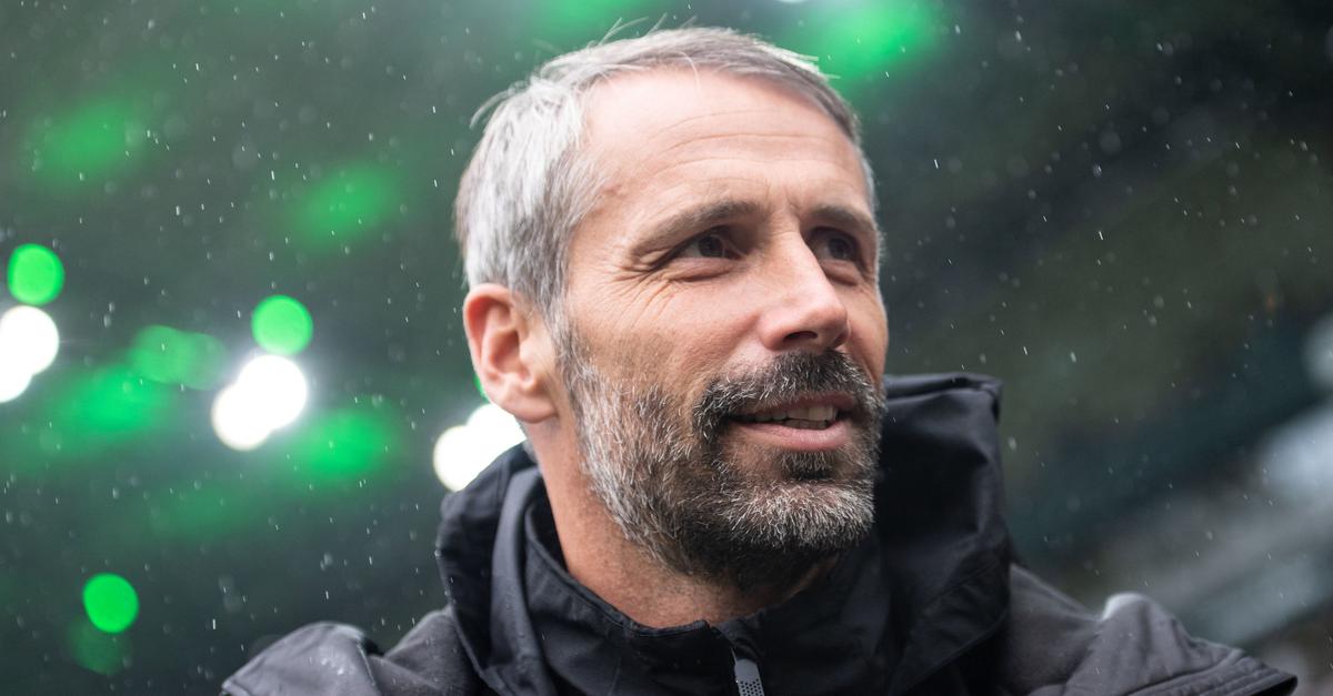 Rehberg Spannung ist gut